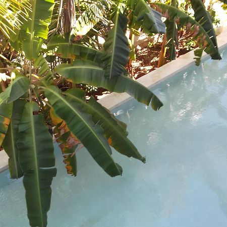 Kobe House Bed & Breakfast จัมเบียนี ภายนอก รูปภาพ