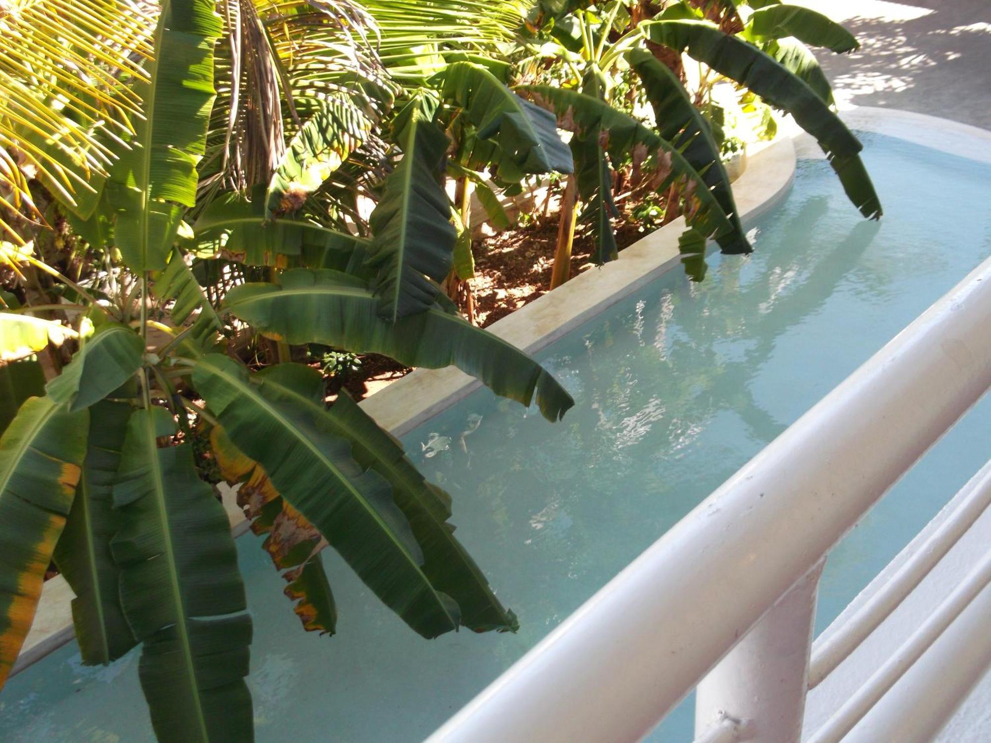 Kobe House Bed & Breakfast จัมเบียนี ห้อง รูปภาพ